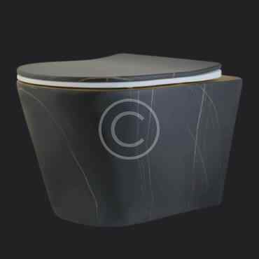 Wall hung toilet