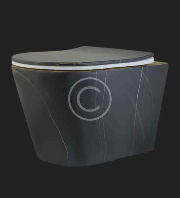 Wall hung toilet